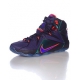 NIKE LEBRON XII INSTINCT BASKET MODE 2015