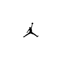 Chaussure & Basket Air Jordan Homme
